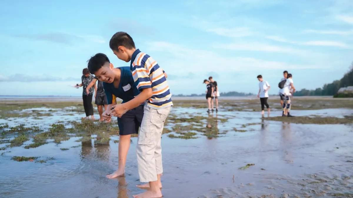Elaine and Eduardo Saverin Foundation