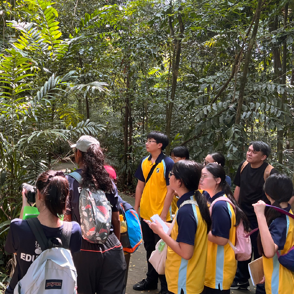 WWF Eco-Schools Program:
Making Environmental Education Endogenous